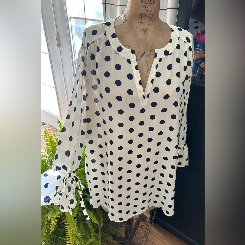 Van Heusen White & Blue Polka Dot Blouse